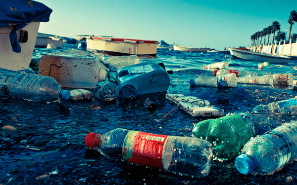 25 mil toneladas anuales de desechos plásticos llegan al mar y no se pueden recuperar: Aporta tu granito de arena para salvar el ecosistema